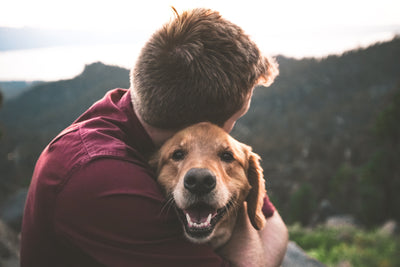 How To Camp With Dogs